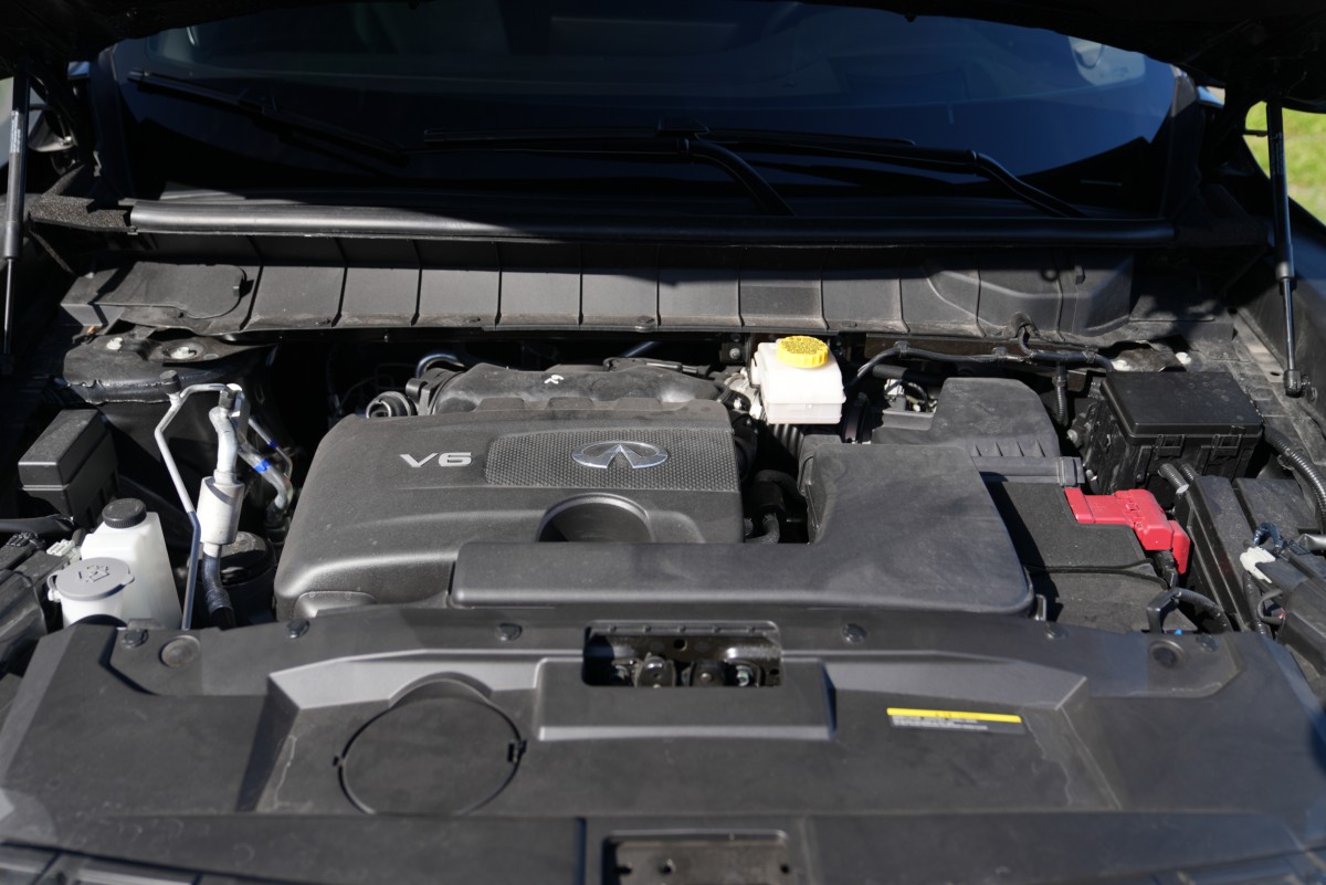 DSC00508.JPG - 164.68 kB